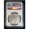 Image 2 : 2016 National Park Service NGC MS70 Early Releases