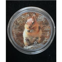 2016 $5 Wildlife - Chipmunk