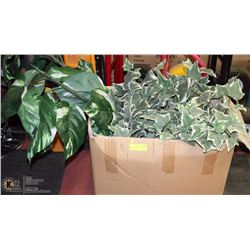 BOX WITH ARTIFICIAL TREE, AND MORE