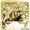 Image 2 : Canada 2006 $3 Beaver Gold Plated Silver Square Coin