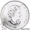 Image 3 : Canada 2007 25 Cents Ruby-throated Hummingbird Coloured Coin