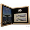 Image 2 : Canada 2010 $10 The Blue Whale Coin and Stamp Set