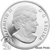 Image 3 : Canada 2011 $20 Winter Scene Silver Coin