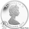 Image 3 : Canada 2013 $5 25th Anniversary of the $5 Silver Maple Leaf Coin