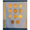 Image 3 : United States Large Cent Collection 1826 - 1857 in Blue Folder