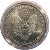 Image 2 : United States 1997 1 oz Eagle Better Date