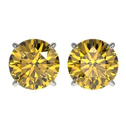 2.50 CTW Certified Intense Yellow SI Diamond Solitaire Stud Earrings 10K White Gold - REF-381H8W - 3