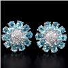 Image 1 : Natural Swiss Topaz Earrings