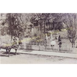 Original large black and white photo of Deadwood residence showing family members and carriages in f