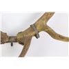 Image 2 : 1936 dated Wyoming metal tag on elk horns.  Est. 150-250