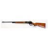 Image 2 : Winchester Model 71 .348 cal. SN 4108 lever action rifle standard 24" barrel, 3/4 mag, walnut stocks