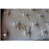 Image 2 : SEARS O PEDIC ORGANIC COTTON PILLOWTOP MATTRESS AND BOXSPRING