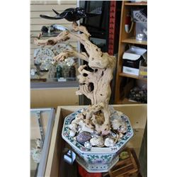 EASTERN PLANTER WITH SHELLS AND BIRD ON DRIFTWOOD