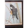 Image 2 : YELLOW HEADED BLACK BIRD BY RANDY FEHR 24283