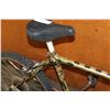 Image 2 : GOLD NO BRAND BIKE