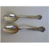 Image 1 : 2 Sterling Silver Spoons