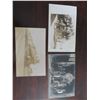 Image 1 : Early 1900s Postcards