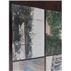 Image 2 : Early 1900s Postcards
