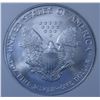 Image 1 : United States Silver American Eagle, 2006