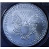 Image 1 : United States Silver American Eagle, 2010