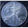 Image 2 : United States Silver American Eagle, 2010