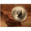 Image 1 : Canada 2014 1 TROY OZ MAPLE LEAF
