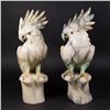 Image 1 : 2 Onyx Parrots