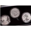 Image 2 : 2006 Silver American Eagle 3-Coin Set