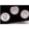 Image 3 : 2006 Silver American Eagle 3-Coin Set
