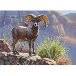 Stunning hand painted Desert Big Horn Sheep art piece, personally created by renowned Cynthie Fisher
