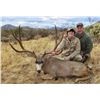 Image 1 : 6 Day Management Mule Deer Hunt - Agua Blanca Ranch