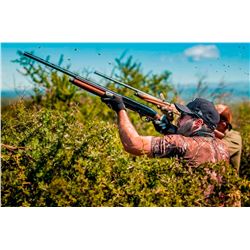 4 Day Dove Hunt in Argentina