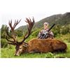 Image 1 : New Zealand Red Stag Hunt