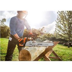 STIHL Woodcutter Kit