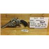 Image 1 : PROHIB FIREARM