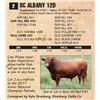 Image 1 : SC ALBANY 12D