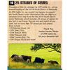 Image 1 : 25 STRAWS OF SEMEN