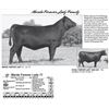 Image 1 : Marda Forever Lady 77