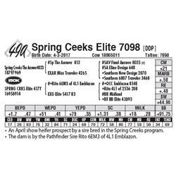 Spring Ceeks Elite 7098 [ DDP ]