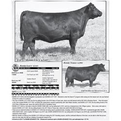 Lot 1 - Basin Lucy 4240