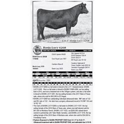 Lot 3 - Basin Lucy 6268