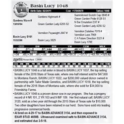Lot 4 - Basin Lucy 1048