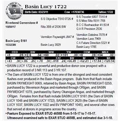 Lot 5 - Basin Lucy 1722