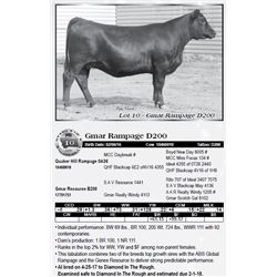 Lot 10 - Gmar Rampage D200