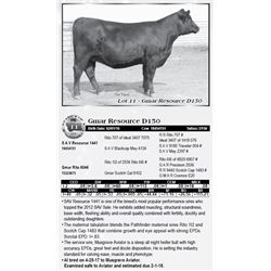 Lot 11 - Gmar Resource D150