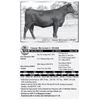 Image 1 : Lot 12 - Gmar Resource D088