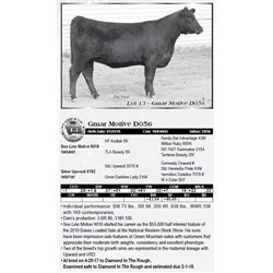Lot 13 - Gmar Motive D056