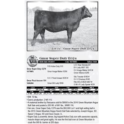 Lot 14 - Gmar Super Duty E024