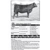 Image 1 : Lot 14 - Gmar Super Duty E024