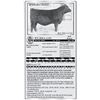 Image 1 : Lot 17 - ICC Erica 4190 - Flush